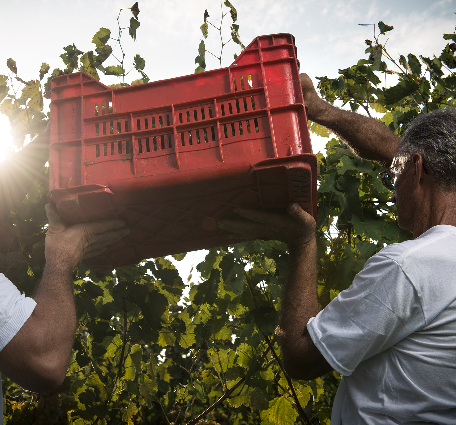 Podere-prospero-gallery-1